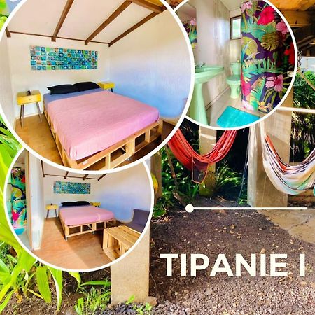 Mata Nui Eco Hostel Χάνγκα Ρόα Εξωτερικό φωτογραφία