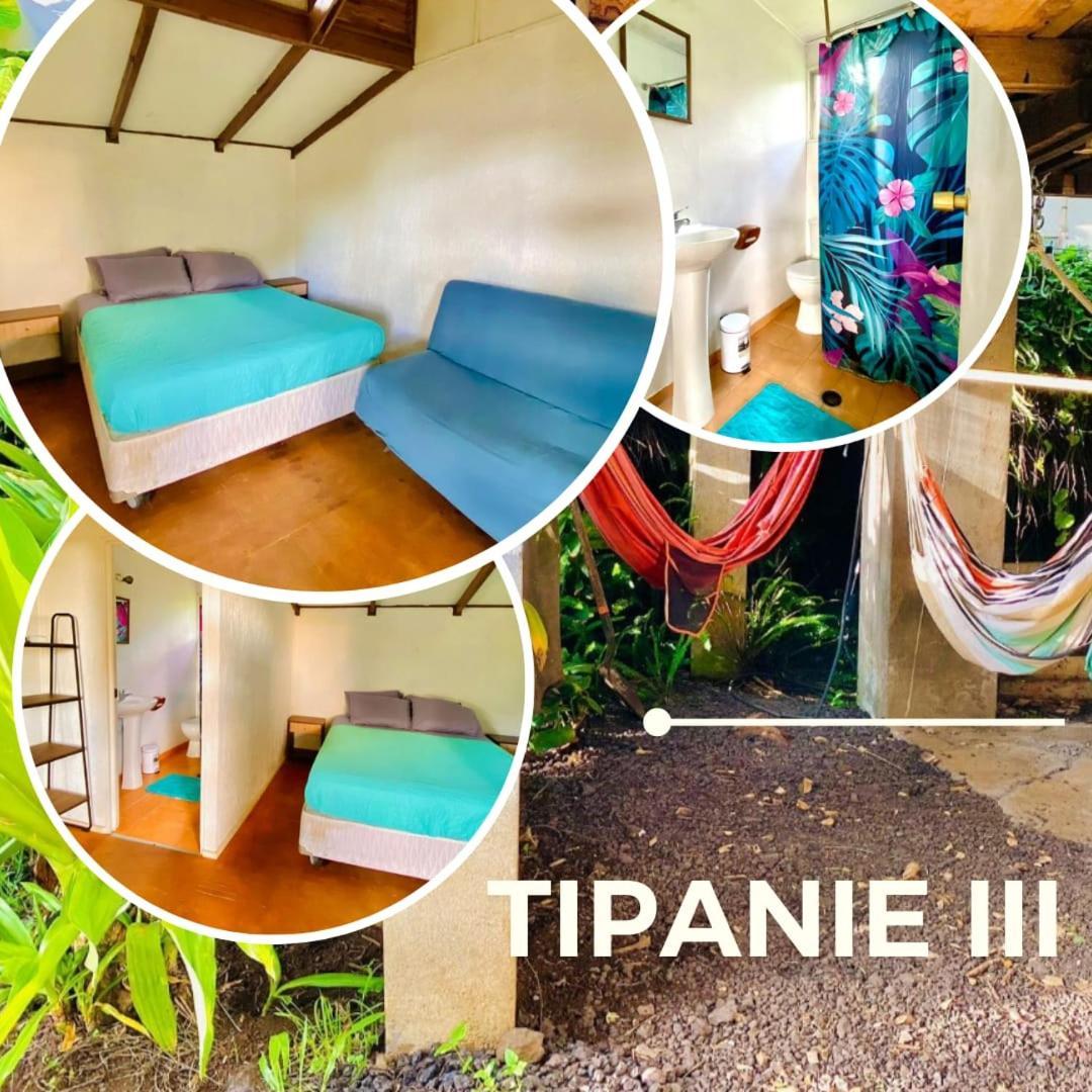 Mata Nui Eco Hostel Χάνγκα Ρόα Εξωτερικό φωτογραφία
