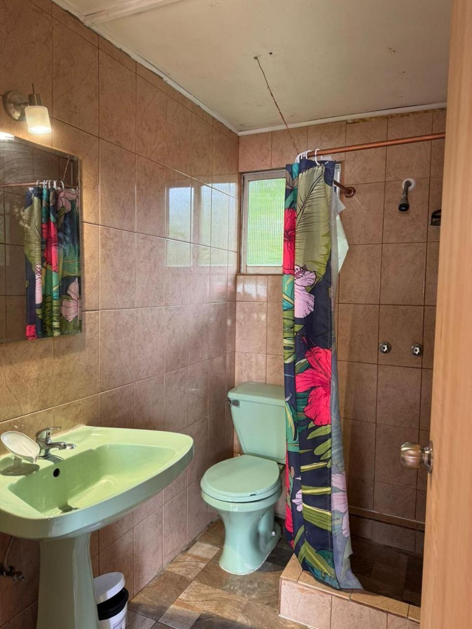 Mata Nui Eco Hostel Χάνγκα Ρόα Εξωτερικό φωτογραφία